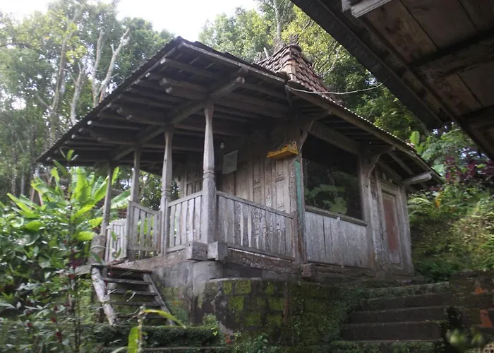 Sang Natha * Tjatur